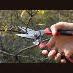 Tesoura multiusos robusta D52-2