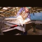 BESSEY G20Z-2K Grampo