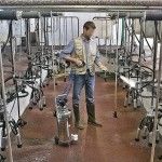 BM2 F24 INOX - Nebulizador Espuma