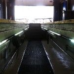 Scangrip Line Light 6 - Luz Linear 6 Uni.