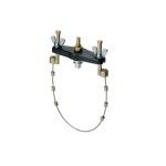 RAASM 11003 RAASM 11003