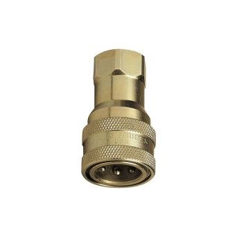 RAASM 33126  Ligacao Rapida (Femea)