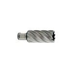 METABO 26529 Fresa 20X55Mm METABO 26529 Fresa 20X55Mm