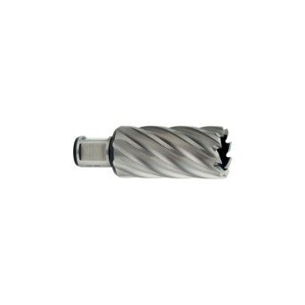 METABO 26529 Fresa 20X55Mm