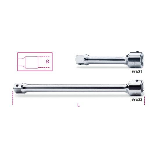 BETA Extenses com quadras macho e fmea de 1