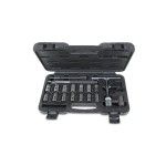 BETA 9600217 960PI/C19 - JG 19 FERR. LIMPA INJECTORES