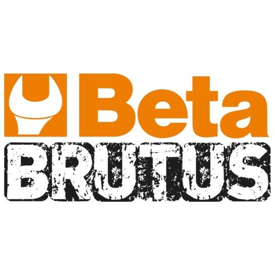BETA Plataforma de carga elétrica, com painéis BETA Plataforma de carga elétrica, com painéis