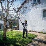 METABO MS 18 LTX 15 Serra para madeira sem fio