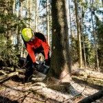 METABO MS 36-18 LTX BL 40 Motosserra sem fio