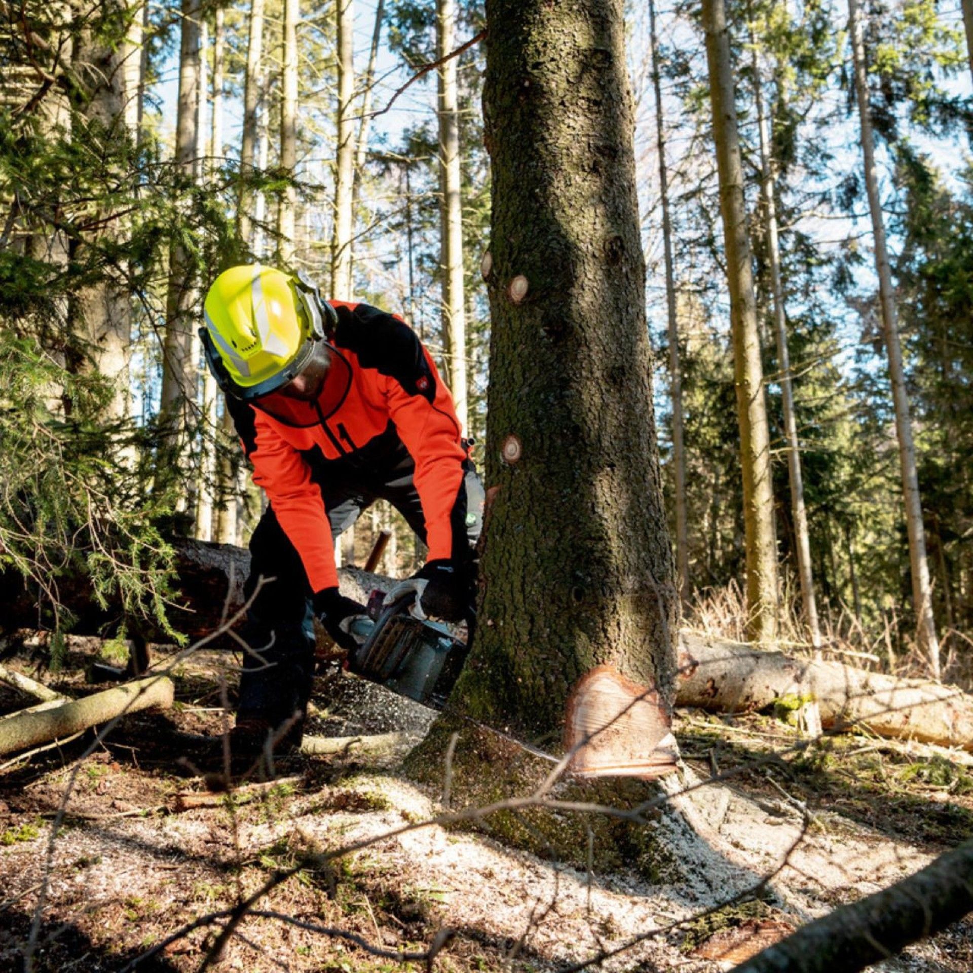 METABO MS 36-18 LTX BL 40 Motosserra sem fio