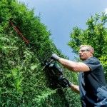 METABO HS 18 LTX BL 65 Corta-sebes sem fio