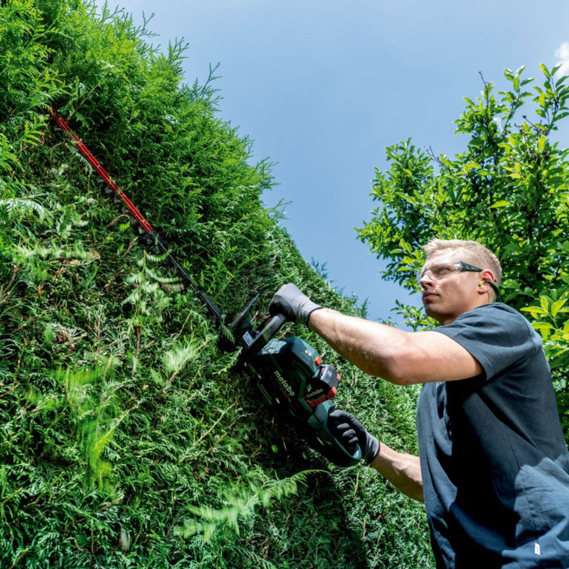 METABO HS 18 LTX BL 65 Corta-sebes sem fio
