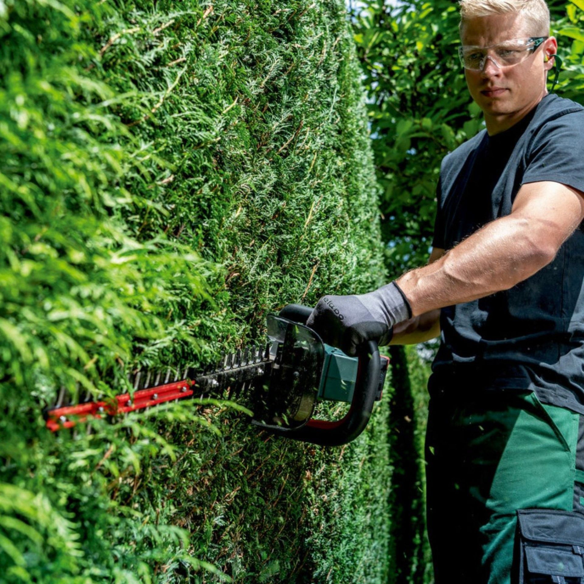 METABO HS 18 LTX BL 65 Corta-sebes sem fio
