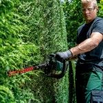 METABO HS 18 LTX BL 65 Corta-sebes sem fio